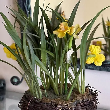 Chez Nebahat Boutique *