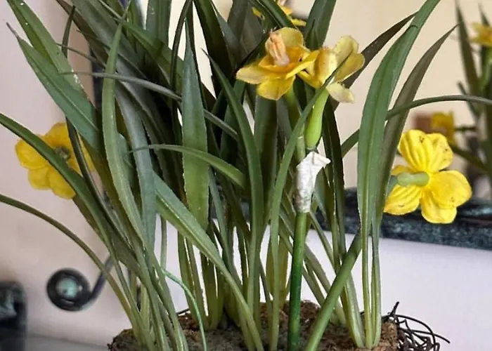 Chez Nebahat Boutique *